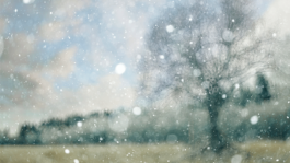 FraukeKolbmueller, Oma Inge Film, Filmproduktion Hamburg, Frauke, Kolbueller, Systemsprenger, Kinofilm, Heartbeast Oma Inge Film